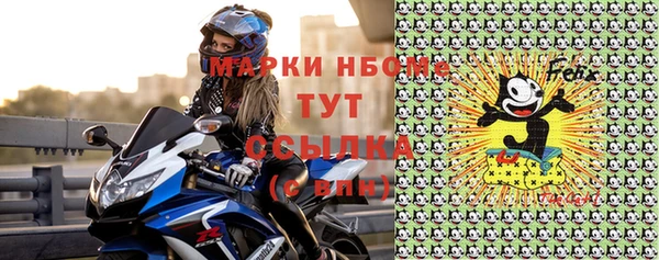 шишки Няндома
