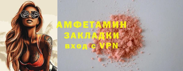 шишки Няндома