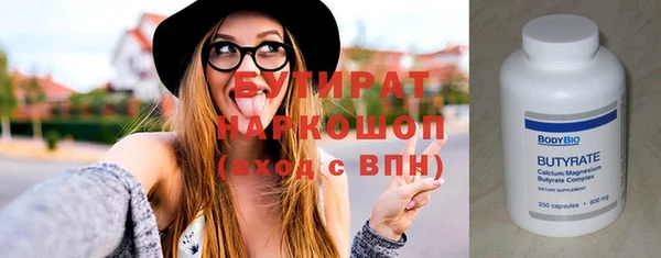шишки Няндома