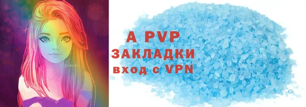 шишки Няндома