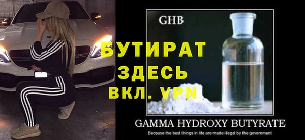 шишки Няндома