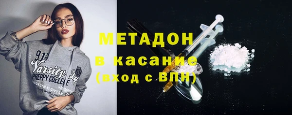 шишки Няндома