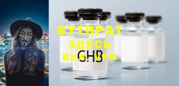 шишки Няндома