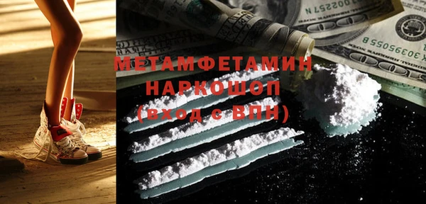 шишки Няндома