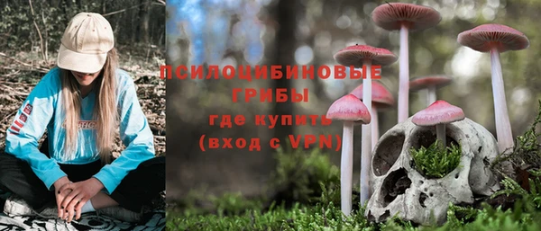 MDMA Premium VHQ Ельня