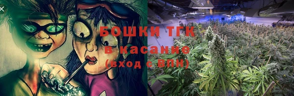 ГАЛЛЮЦИНОГЕННЫЕ ГРИБЫ Покровск
