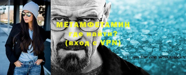 шишки Няндома