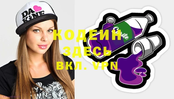 шишки Няндома
