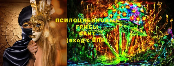 ГАЛЛЮЦИНОГЕННЫЕ ГРИБЫ Покровск