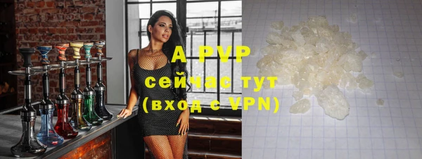 гашик Осинники