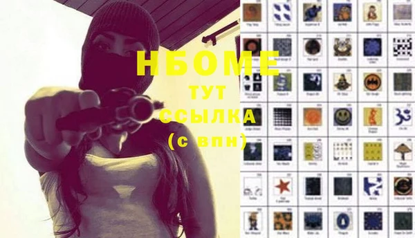 шишки Няндома