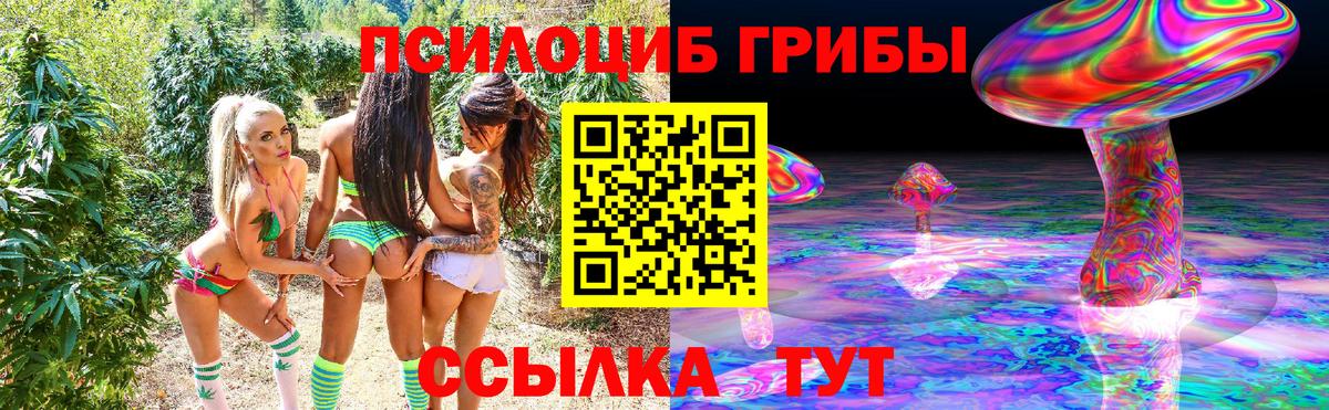 Качканар  Галлюциногенные грибы Cubensis  Вход с VPN 