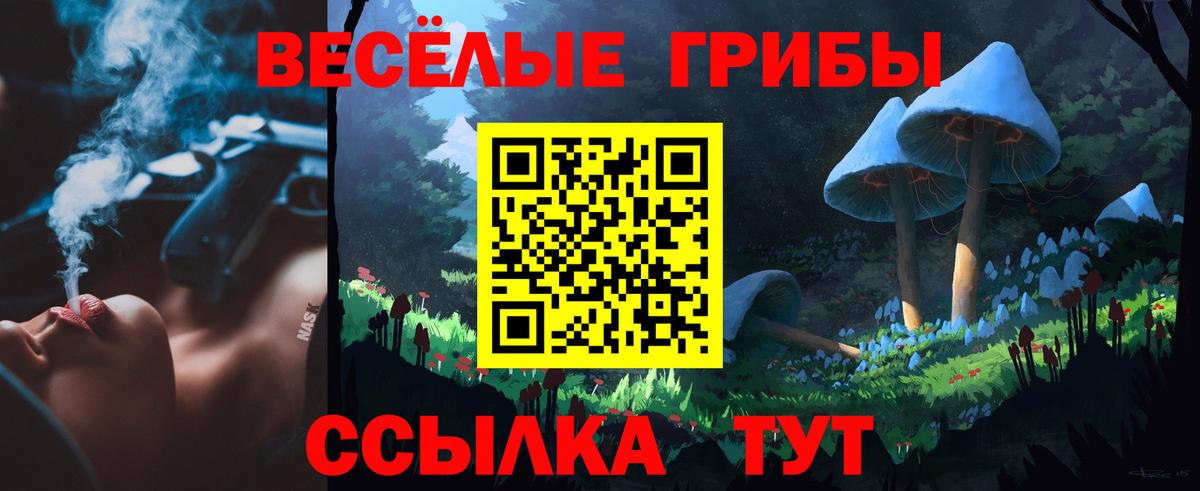 Псилоцибиновые грибы Psilocybine cubensis  даркнет сайт  Качканар 